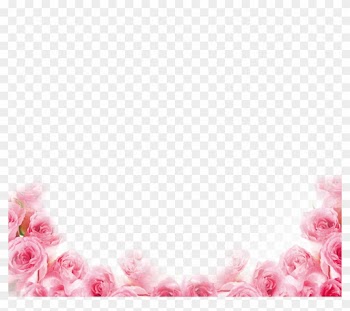 Pink Beach Rose Petal - Pink Rose Border Png