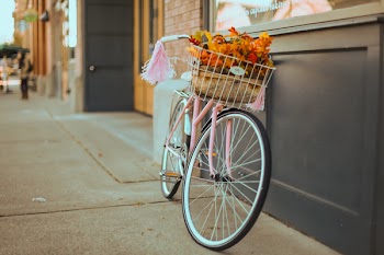 Pink Bicycle