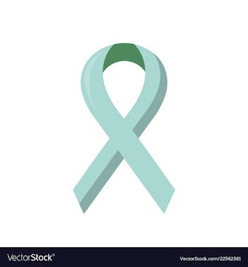 Pink breast cancer awareness ribbon isolated on a vector image