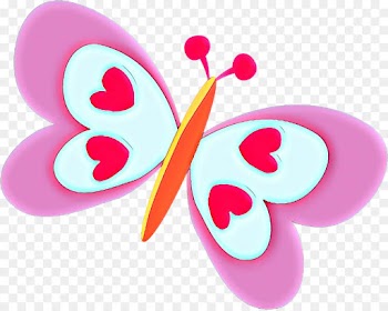 pink butterfly insect magenta heart