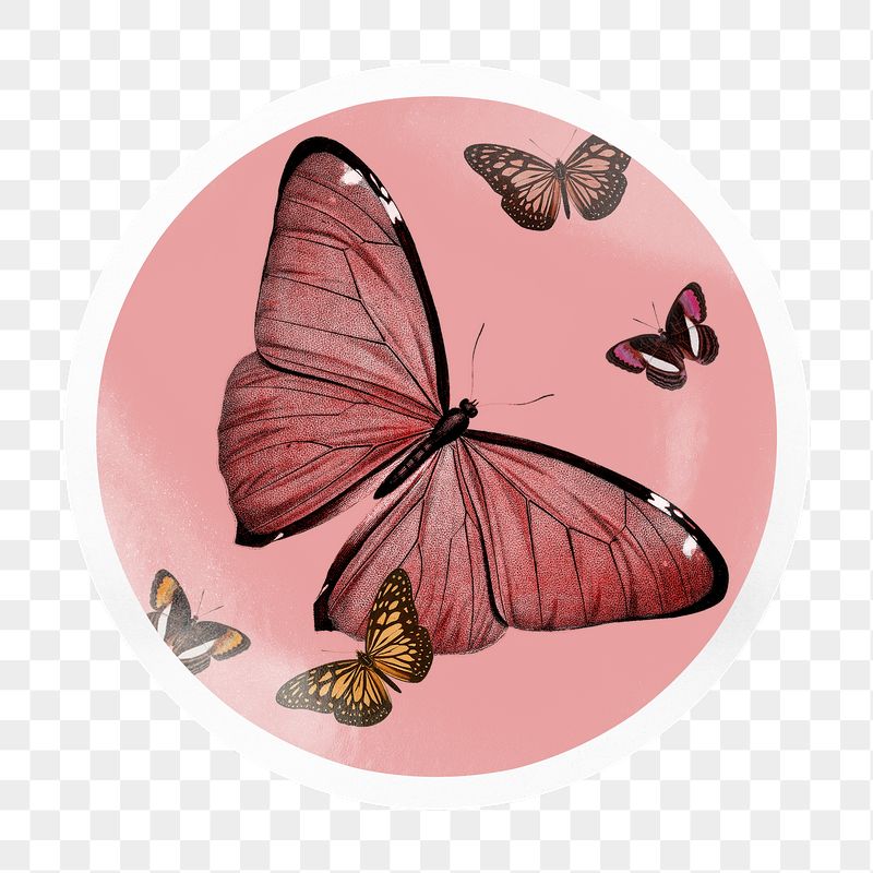 Pink butterfly png badge sticker | Free PNG - rawpixel