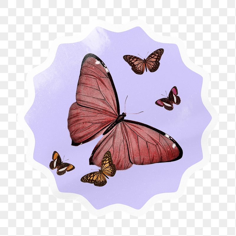 Pink butterfly png starburst badge | Free PNG - rawpixel