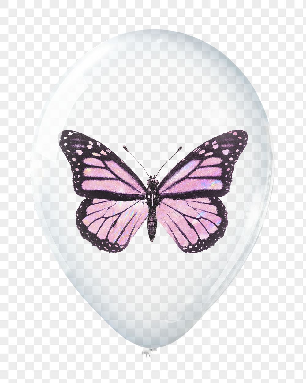 Pink butterfly png sticker, animal | Free PNG - rawpixel