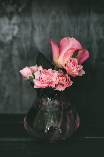 Pink Carnation Flowers and Pink Rose Flowers Centerpiece