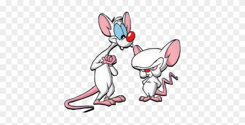 Pink Cartoon Brain Download - Pinky And The Brain Cartoon