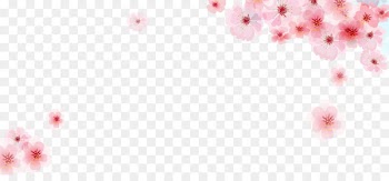 Pink Cherry blossom Flower - Vector pink cherry blossoms frame material 