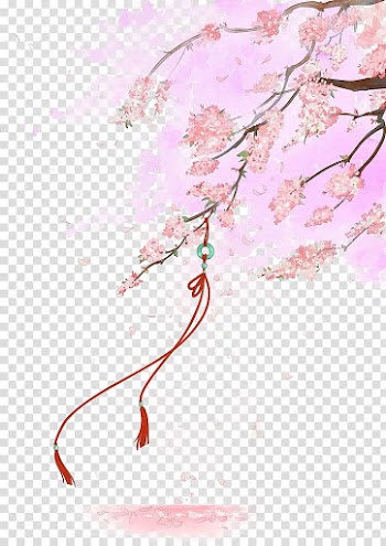 Pink cherry blossom tree , Cherry blossom Quan Zhi Gao Shou Flower Painting, Beautiful hand-drawn illustration antiquity transparent background PNG clipart
