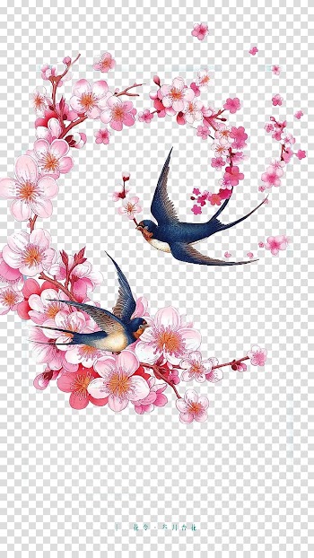 Pink cherry blossoms , Eurasian Magpie Chinoiserie Ink wash painting Illustration, Chinese wind pink peach magpie flying illustrator transparent background PNG clipart