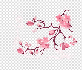 Pink cherry blossoms illustration, , tree branches flowers transparent background PNG clipart