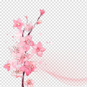 Pink cherry blossoms painting, Flower Watercolor painting Ink wash painting, Watercolor pink flower transparent background PNG clipart