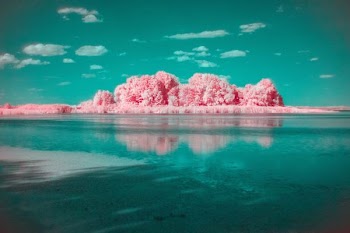 pink cloud formation above calm body of water