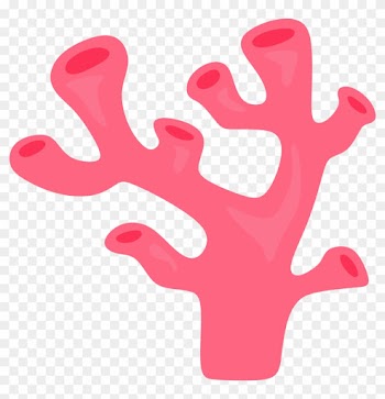 Pink Coral Sea Shell Clip Art At Clker - Coral Clip Art Png