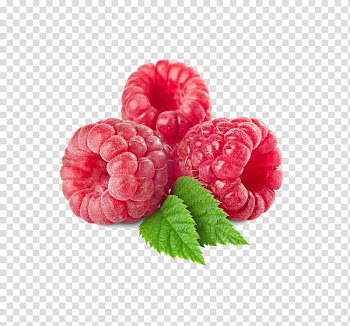 Pink cranberries, Raspberry ketone Fruit preserves Raspberry extract, Raspberry transparent background PNG clipart