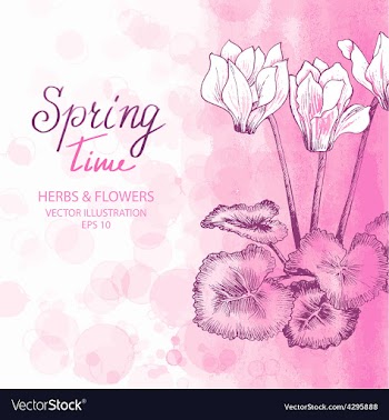  					Pink Cyclamen Greetings Card vector image														