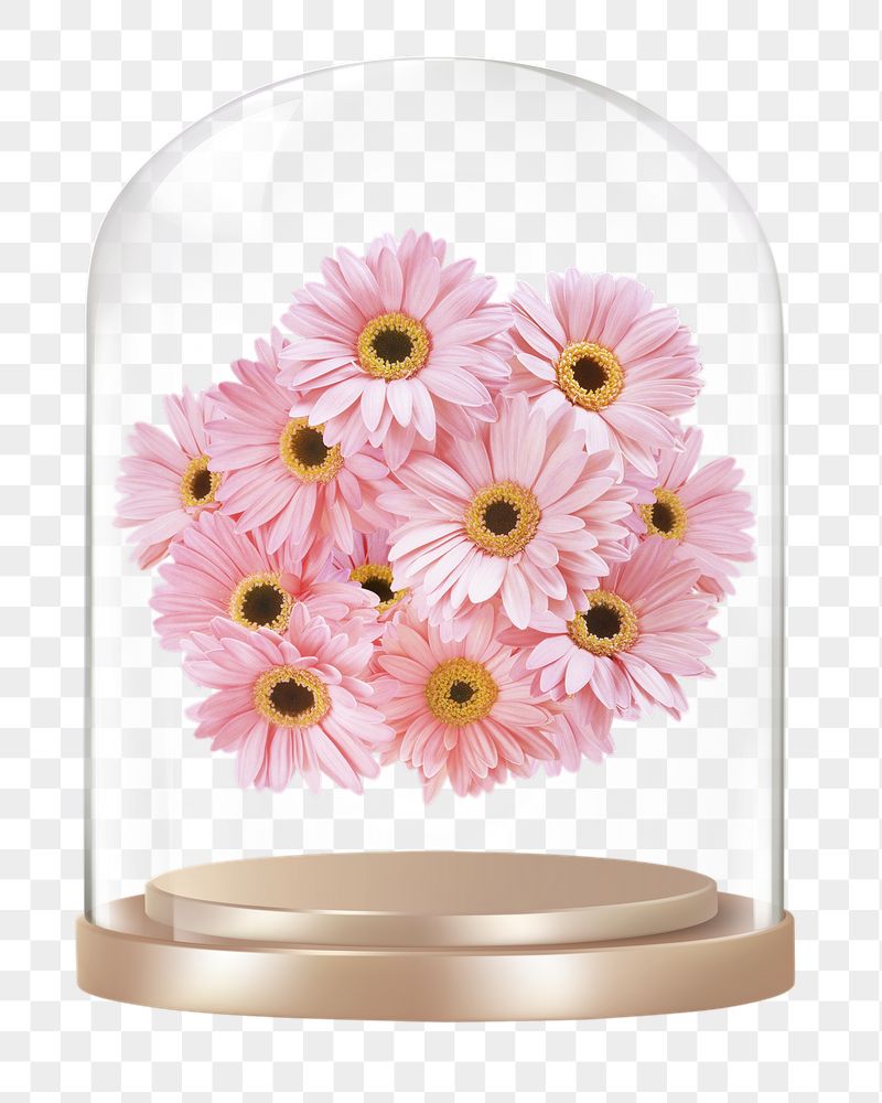 Pink daisies png glass dome | Free PNG - rawpixel