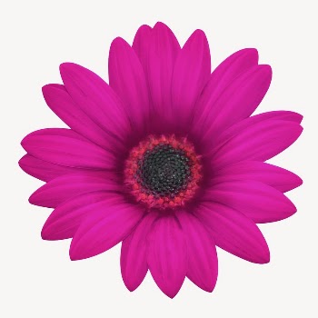 Pink daisy collage element psd | Free PSD - rawpixel