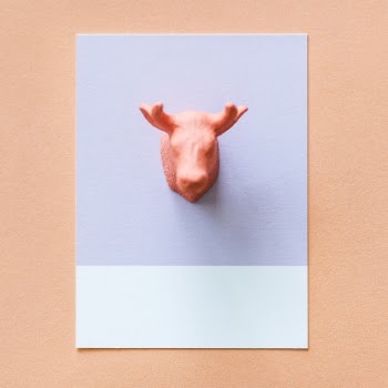 Pink Deer Mount
