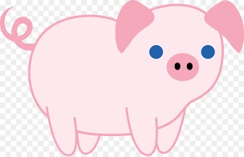pink domestic pig cartoon snout clip art