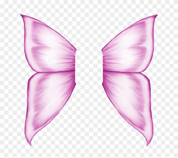Pink Fairy Wings Png - Fairy Wing Transparent Background, Png ...