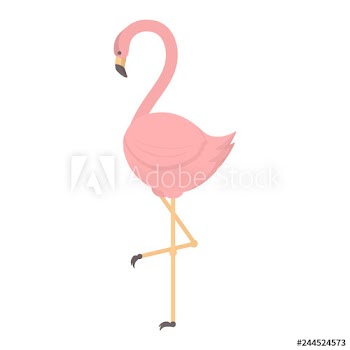 Pink flamingo bird