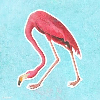 Pink flamingo bird sticker design element illustration | Free  illustration - 2338380