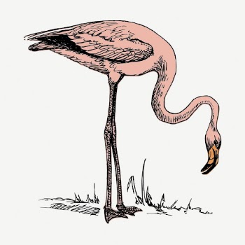 Pink flamingo collage element, vintage | Free PSD - rawpixel