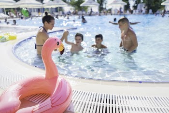 Pink Flamingo Floater