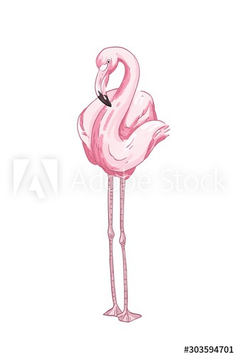 Pink flamingo hand drawn vector illustration