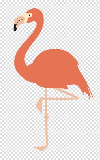 Pink flamingo illustration, American flamingo Drawing Printing Printmaking, flamingo transparent background PNG clipart