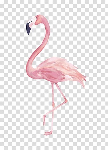 Pink flamingo illustration, Canvas print Art Watercolor painting, painting transparent background PNG clipart