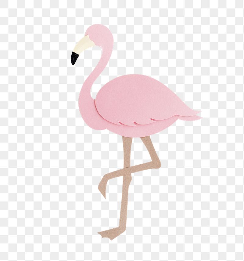 Pink flamingo png animal sticker, | Free PNG - rawpixel