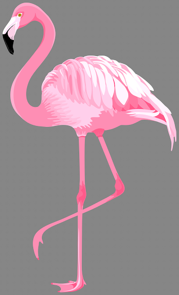 Pink Flamingo PNG Clipart | Gallery Yopriceville - High-Quality ...