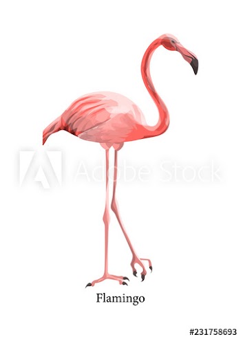 Pink flamingo tropical cute bird