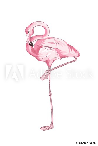 Pink flamingo vector illustration