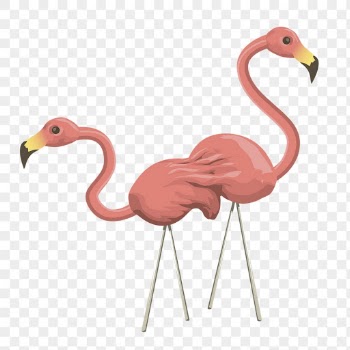 Pink flamingos png sticker, bird | Free PNG - rawpixel