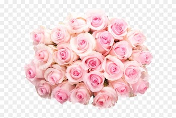 Pink Floral Design Png Flower Pink Rose Bouquet - Rose