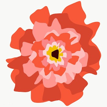 Pink flower element transparent png | Free  transparent png - 2253570
