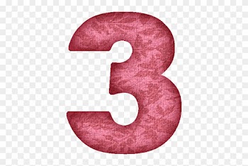 Pink Flower Fabric Numeral - Numeral 3