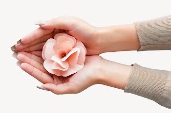 Pink flower, feminine hand holding | Free Photo - rawpixel