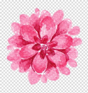 Pink flower illustration, Drawing Flower Watercolor painting Illustration, Drawing Indian national wind album transparent background PNG clipart