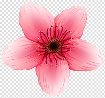 Pink flower illustration, Flower , Flower transparent background PNG clipart
