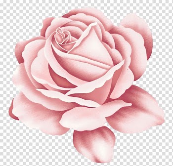 Pink flower illustration, Rose Tattoo Pink, Rose transparent background PNG clipart