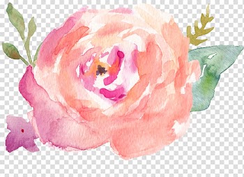 Pink flower illustration, Watercolor painting Drawing , water color transparent background PNG clipart