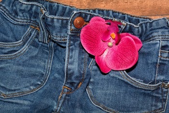 Pink Flower on Blue Jeans