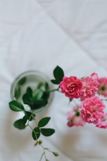 Pink Flower on Clear Glass Bowl · Free Stock Photo