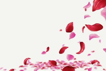 Pink flower petals background, copy | Free Photo - rawpixel