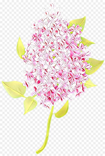 pink flower plant cut flowers anthurium