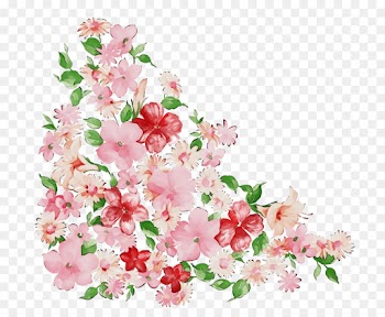 pink flower plant cut flowers branch