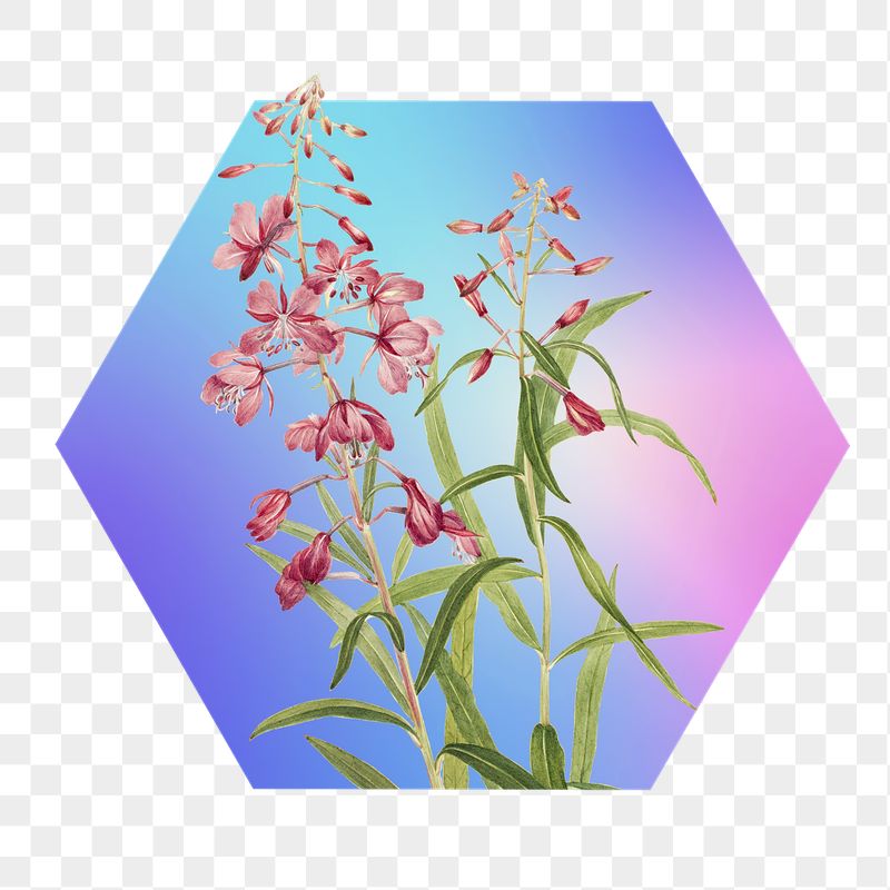 Pink flower png on gradient | Free PNG - rawpixel