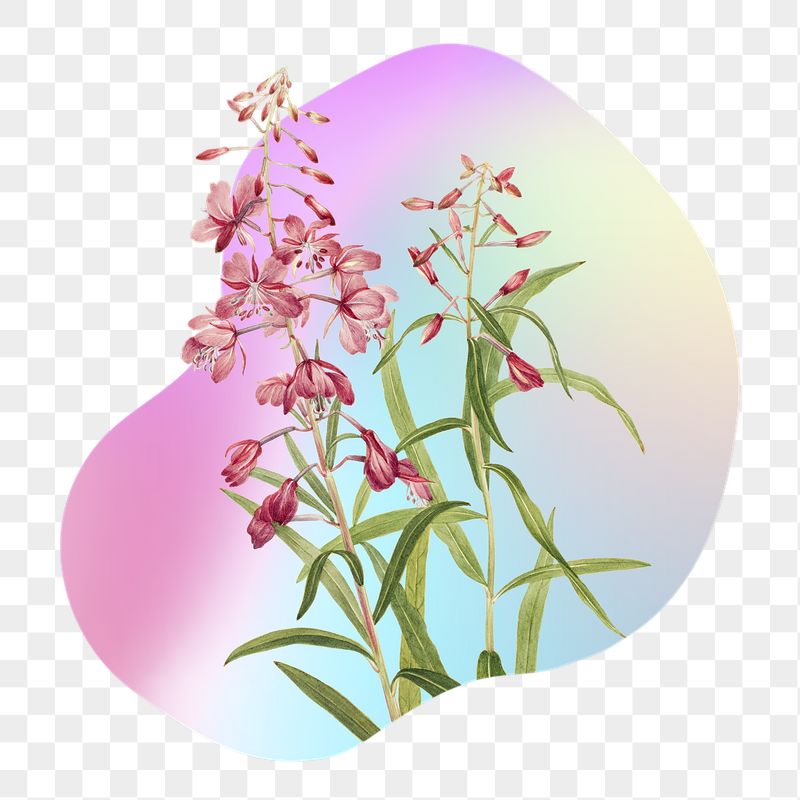 Pink flower png on gradient | Free PNG - rawpixel